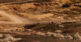 西海岸代理主帅：希望带领球队取胜，巩固我们在积分榜的位置