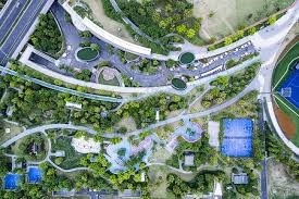 MLB球队战术灵活应对不同对手